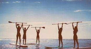 高枝难攀,挑战高枝难攀的壮志与智慧  第1张